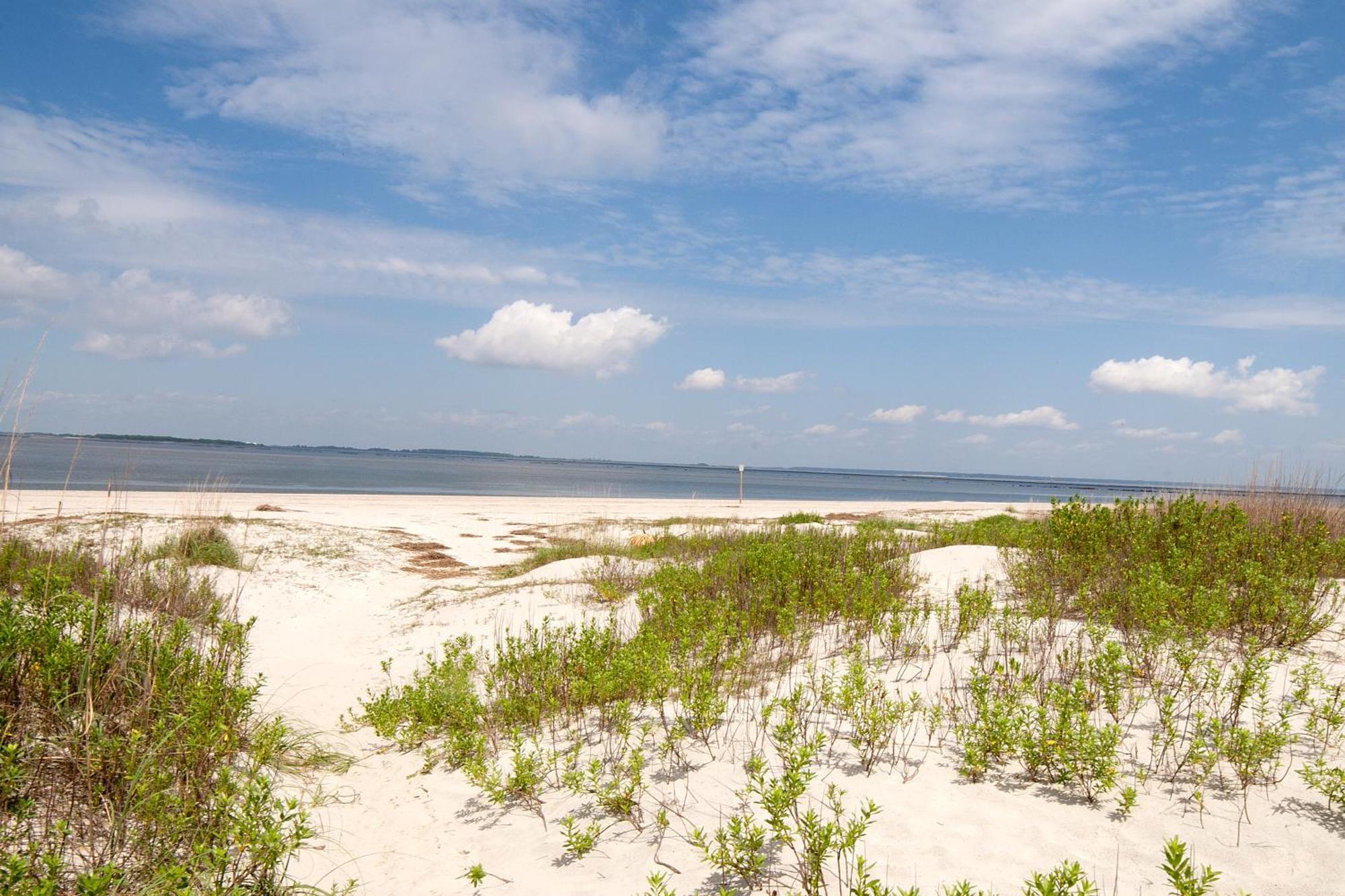 Desoto Beach Gardens Pulau Tybee Luaran gambar